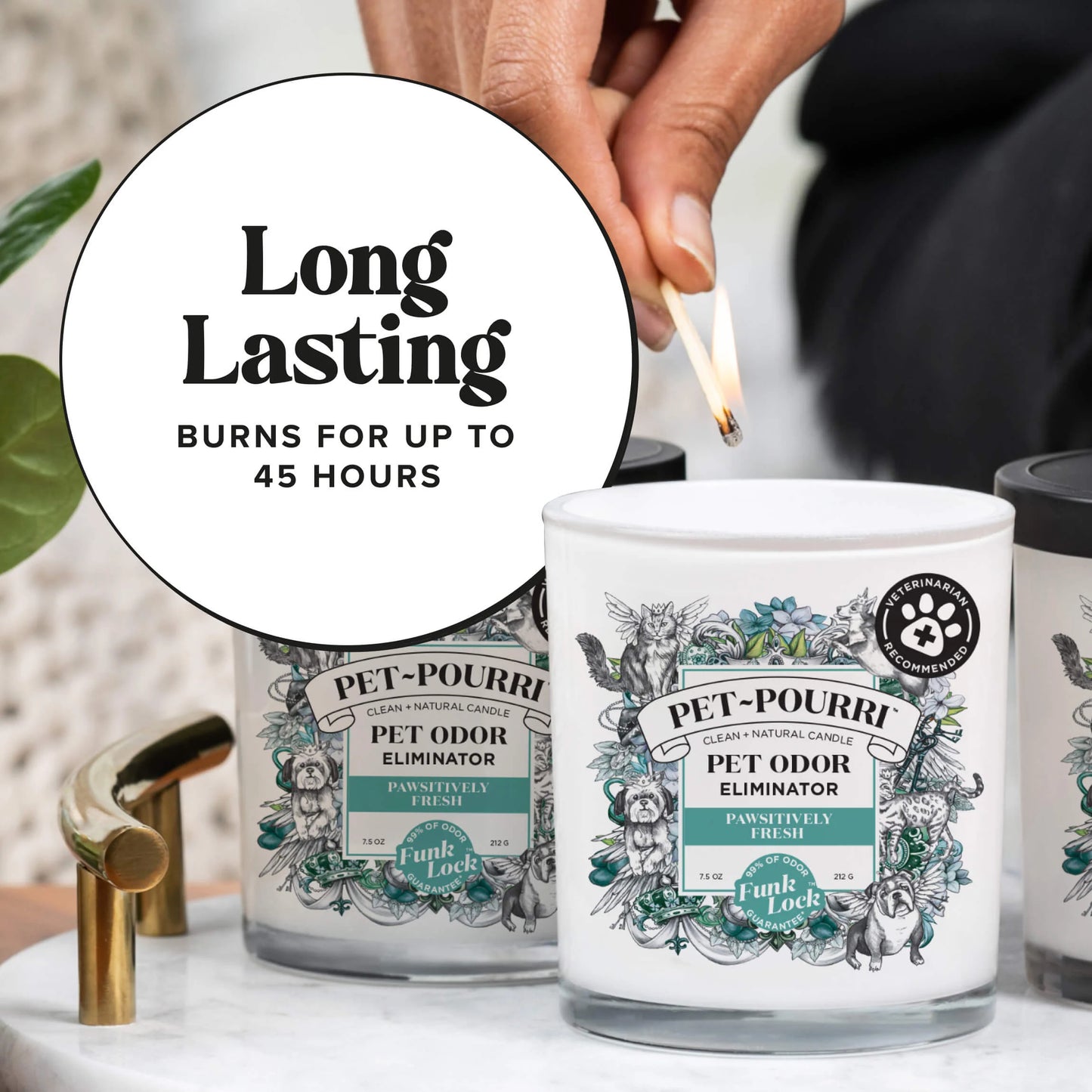 Pawsitively Fresh Candle - Pet~Pourri Candle