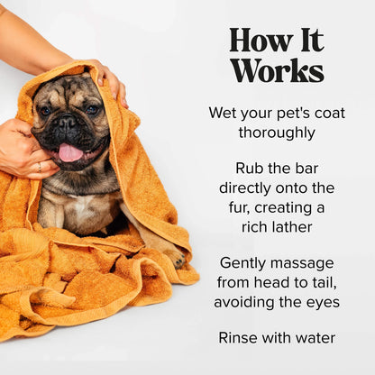 Deodorizing Shampoo Bar