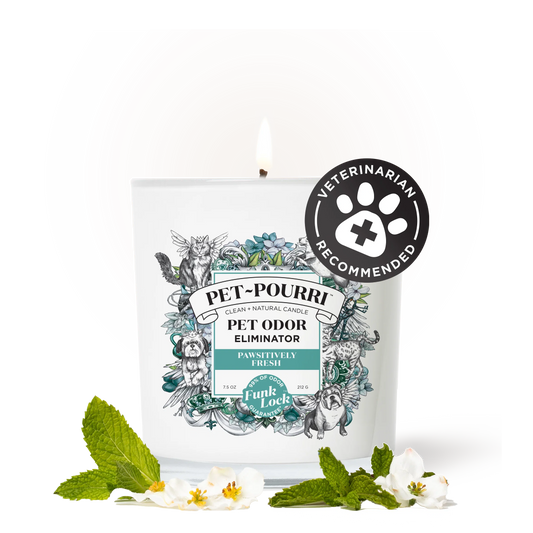Pawsitively Fresh Candle - Pet~Pourri Candle