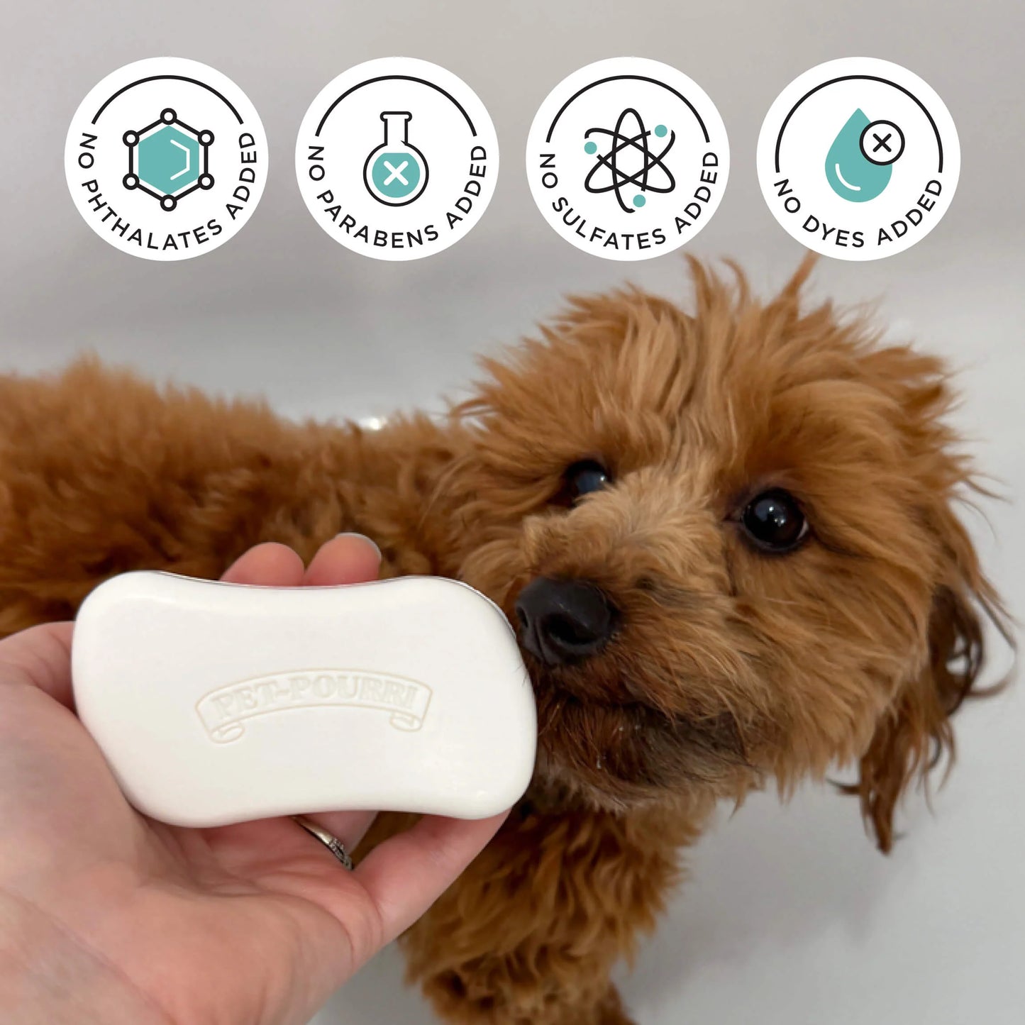 Deodorizing Shampoo Bar