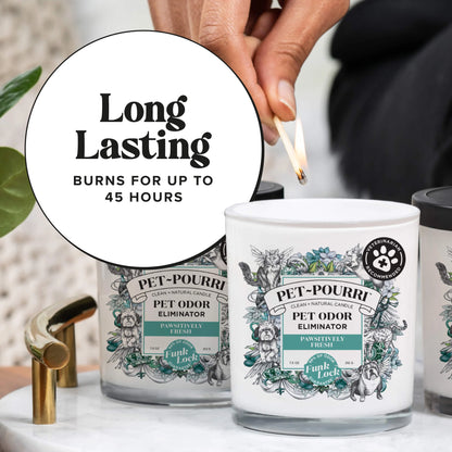 Pawsitively Fresh Candle - Pet~Pourri Candle