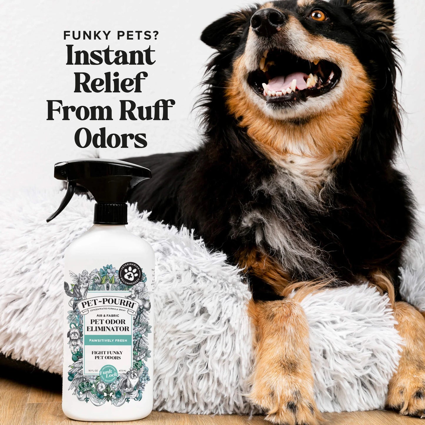 Pawsitively Fresh - Pet~Pourri Room Spray