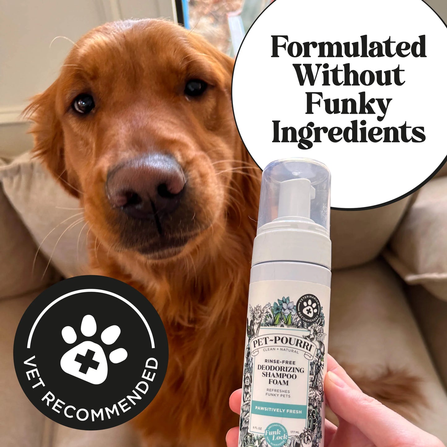 Rinse-Free Deodorizing Shampoo