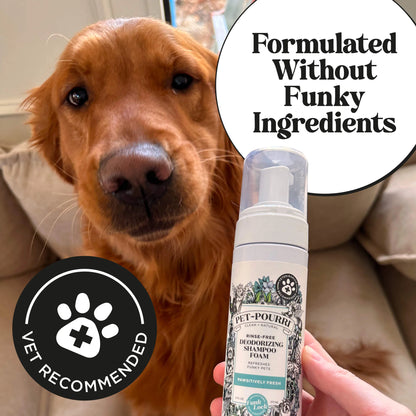 Rinse-Free Deodorizing Shampoo