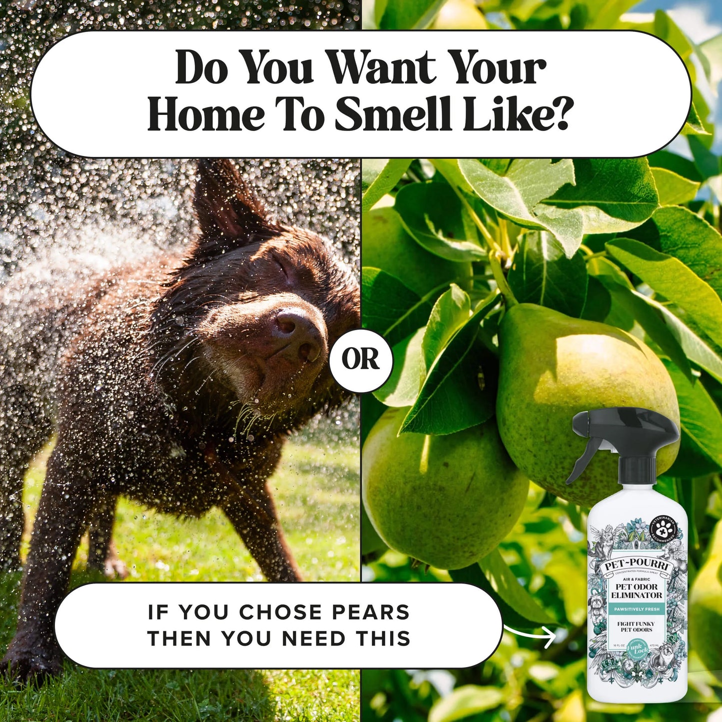 Pawsitively Fresh - Pet~Pourri Room Spray