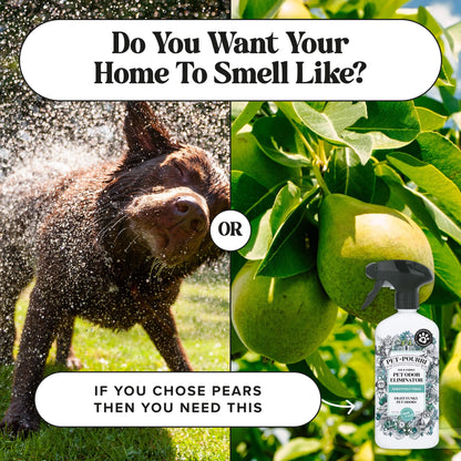 Pawsitively Fresh - Pet~Pourri Room Spray