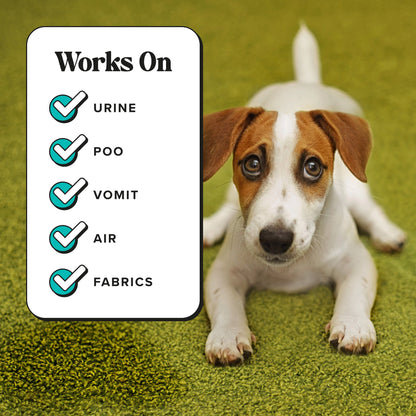 Pawsitively Fresh - Pet~Pourri Room Spray
