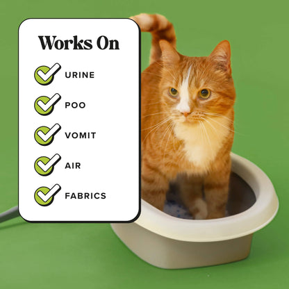 Purrfectly Bamboo - Pet~Pourri Room Spray