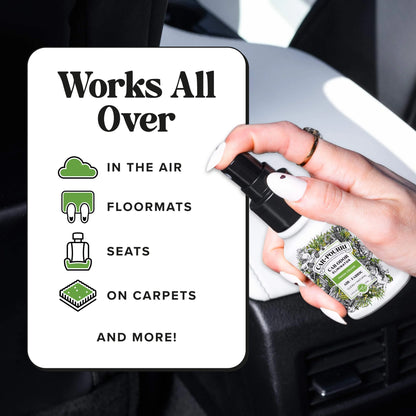 Fresh Cruise - Car~Pourri Car Air Freshener