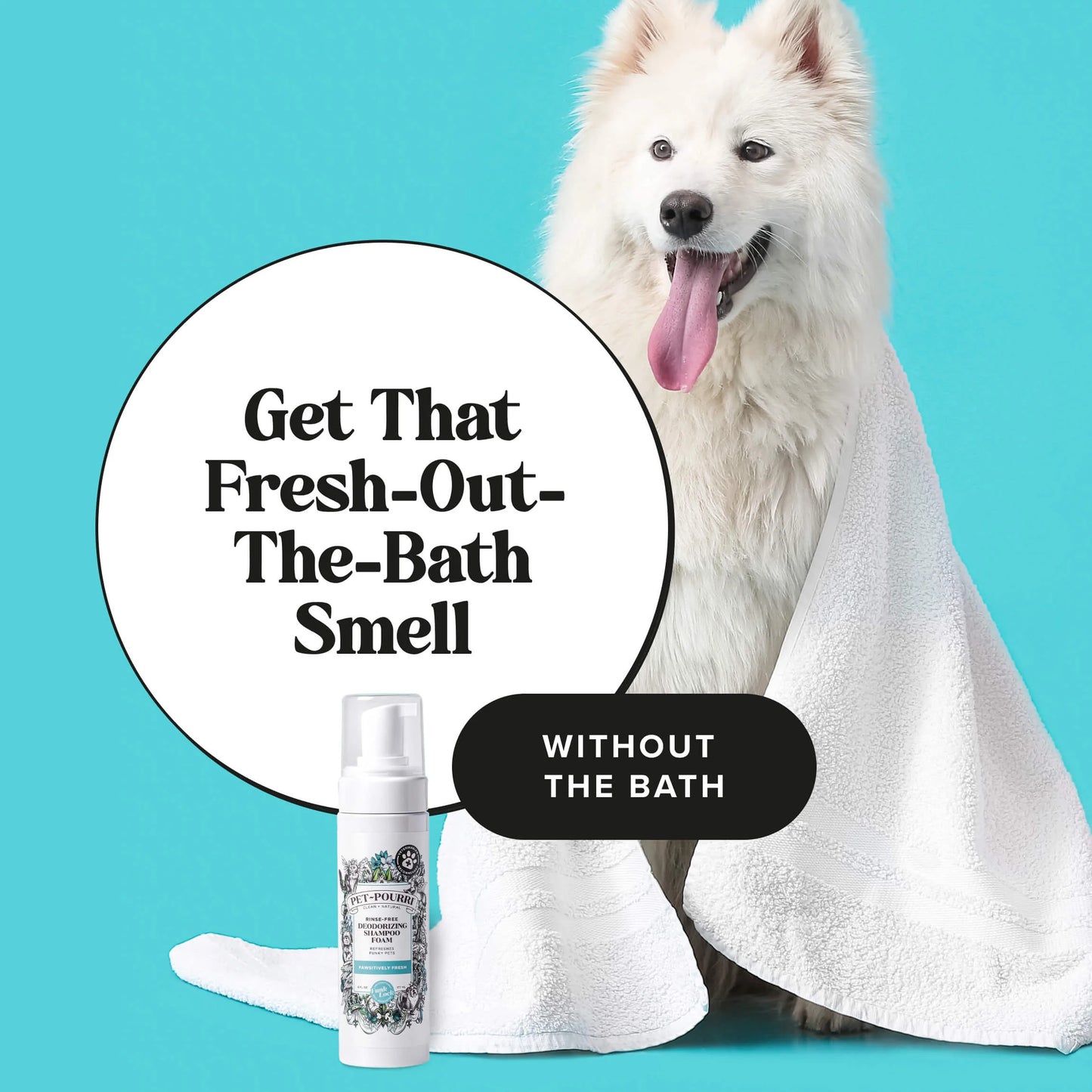 Rinse-Free Deodorizing Shampoo