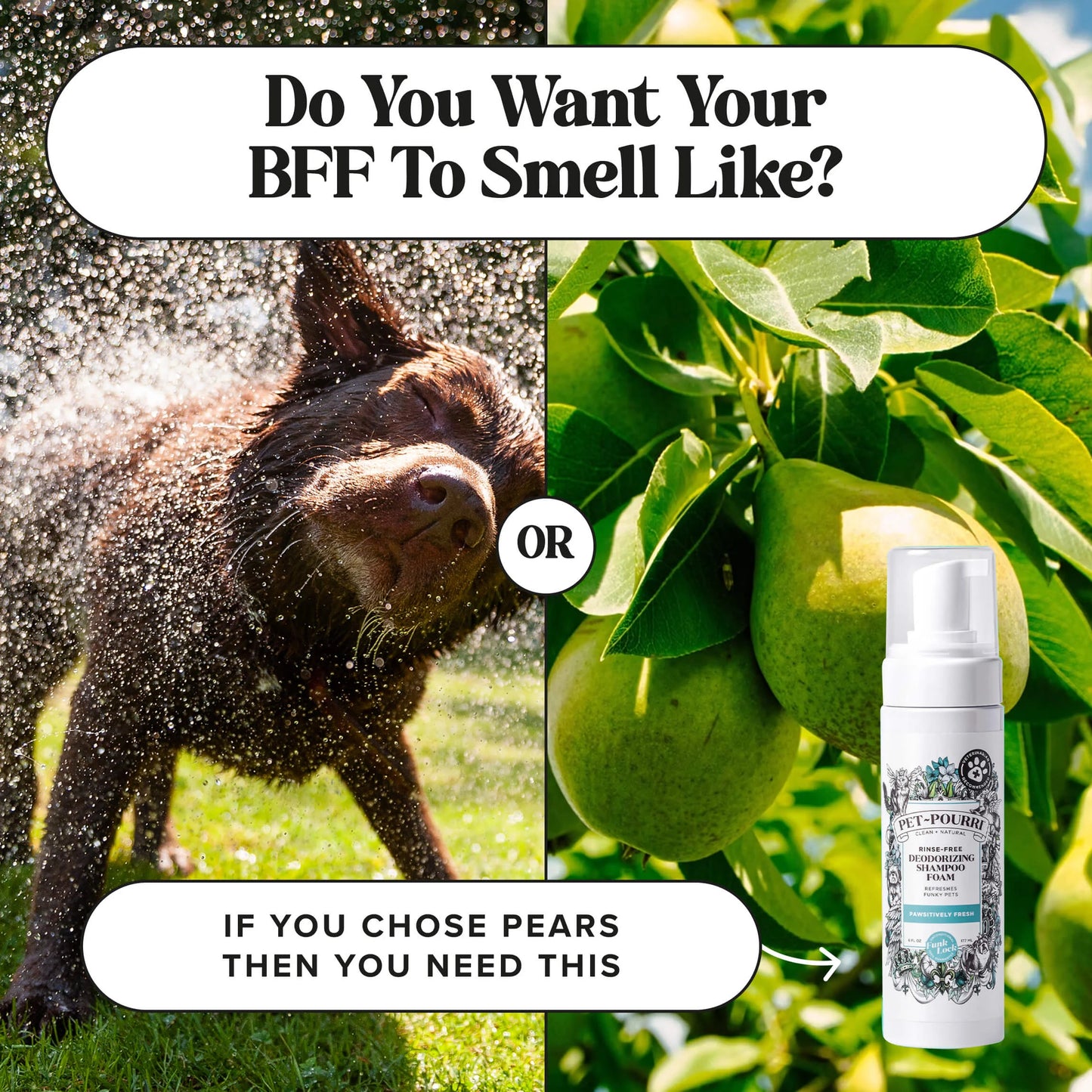 Rinse-Free Deodorizing Shampoo