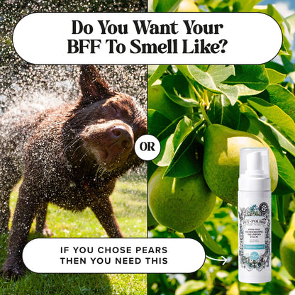 Rinse-Free Deodorizing Shampoo