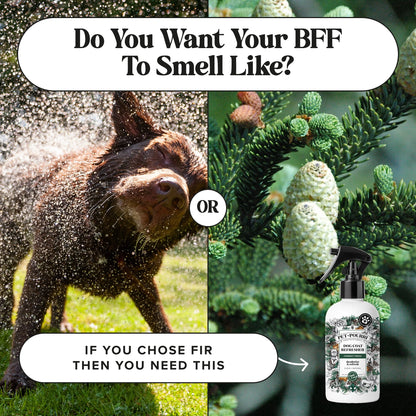 Dog Coat Refresher - Pet~Pourri